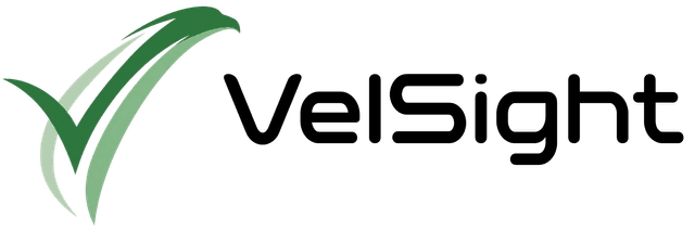 VelSight Logo